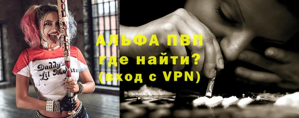 ГАЛЛЮЦИНОГЕННЫЕ ГРИБЫ Аркадак
