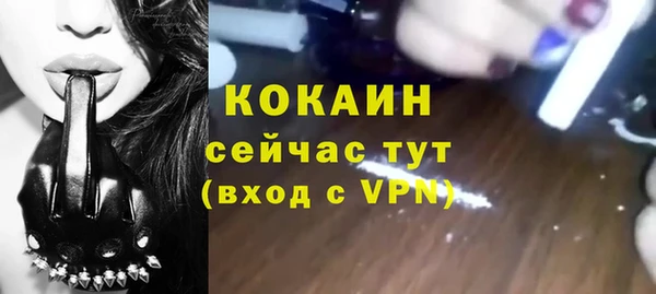 трава Анжеро-Судженск