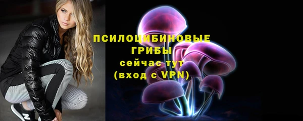 ГАЛЛЮЦИНОГЕННЫЕ ГРИБЫ Аркадак