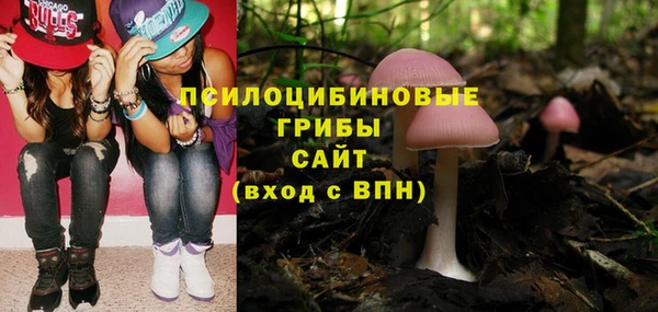 ГАЛЛЮЦИНОГЕННЫЕ ГРИБЫ Аркадак